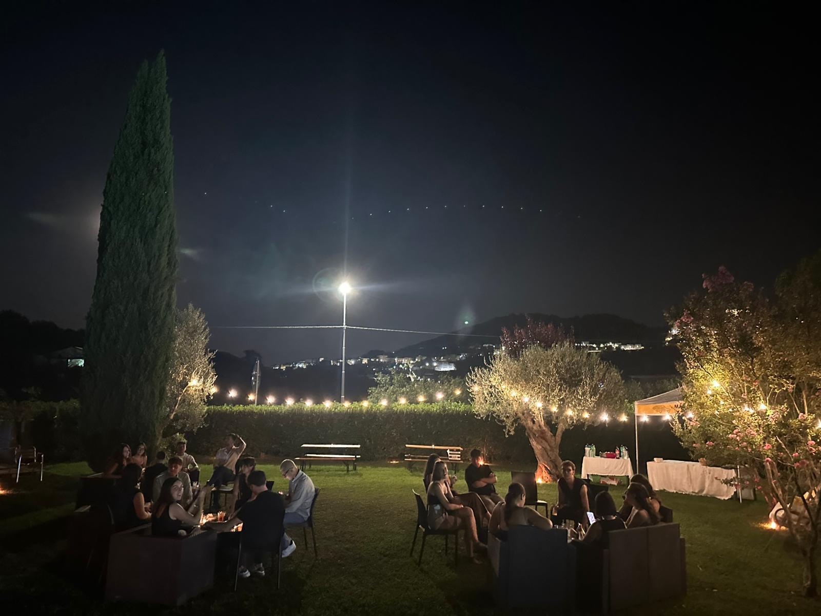 Evento serale in giardino con ulivo illuminato — Il Respiro degli Ulivi