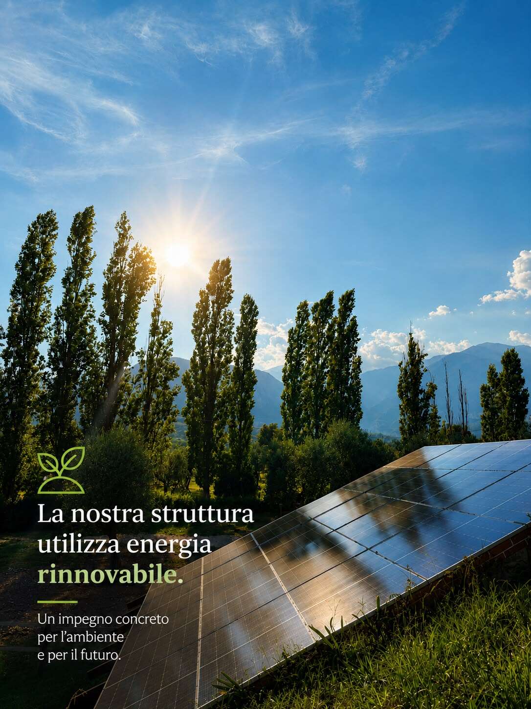 L'uliveto della struttura con impianto fotovoltaico — energia rinnovabile