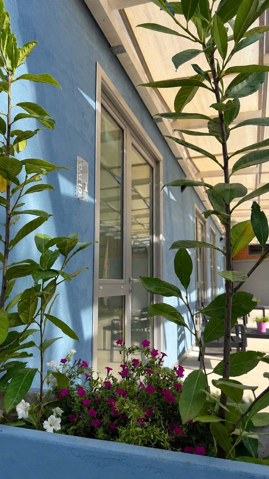 Fiori e piante sulla terrazza davanti alla Camera Ulivo