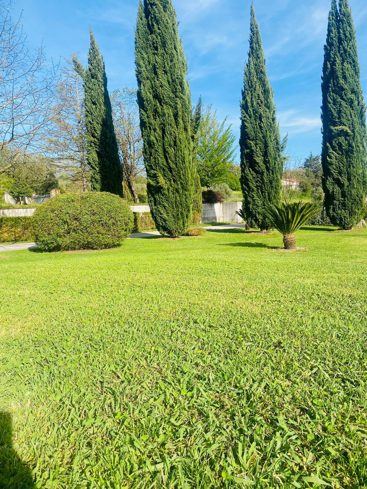 Prato verde con cipressini — area yoga del Respiro degli Ulivi